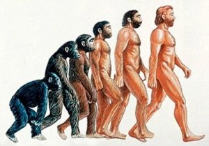 Guide for Writing a Strong Anthropology Essay