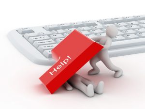 Essay Help
